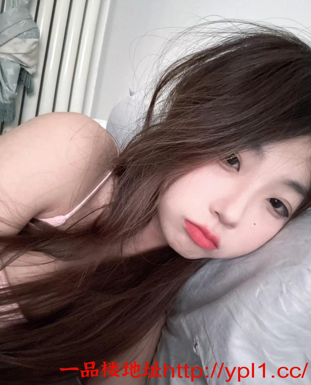 04年的极品炮架子