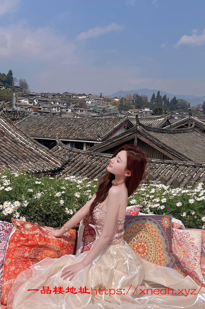 高级名媛无套内射